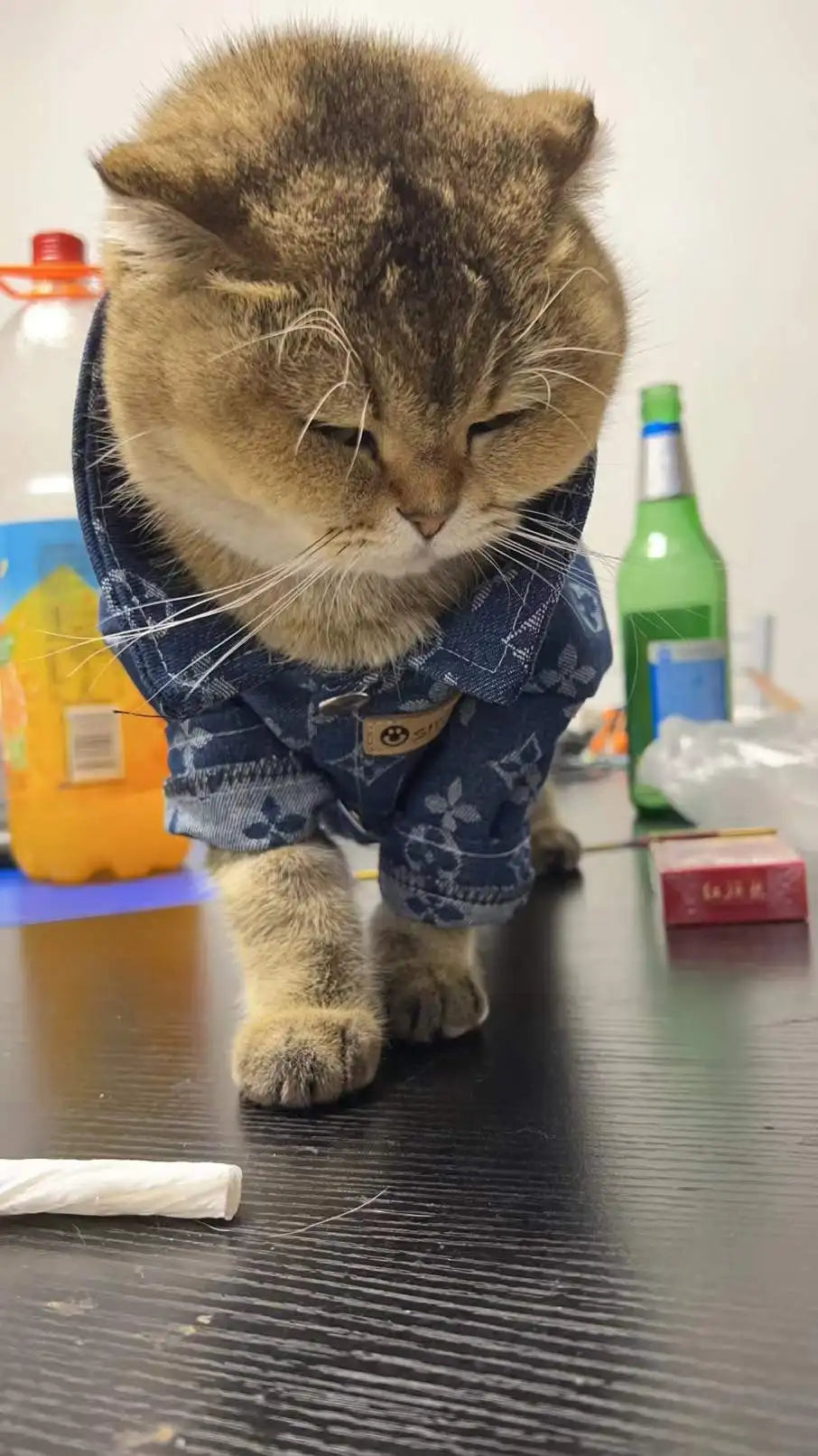Pet Denim Shirt Teddy Bichon Pomeranian Wearable Dog Clothes Spring and Autumn Pet Clothing for Small and Medium-sized Dogs Link